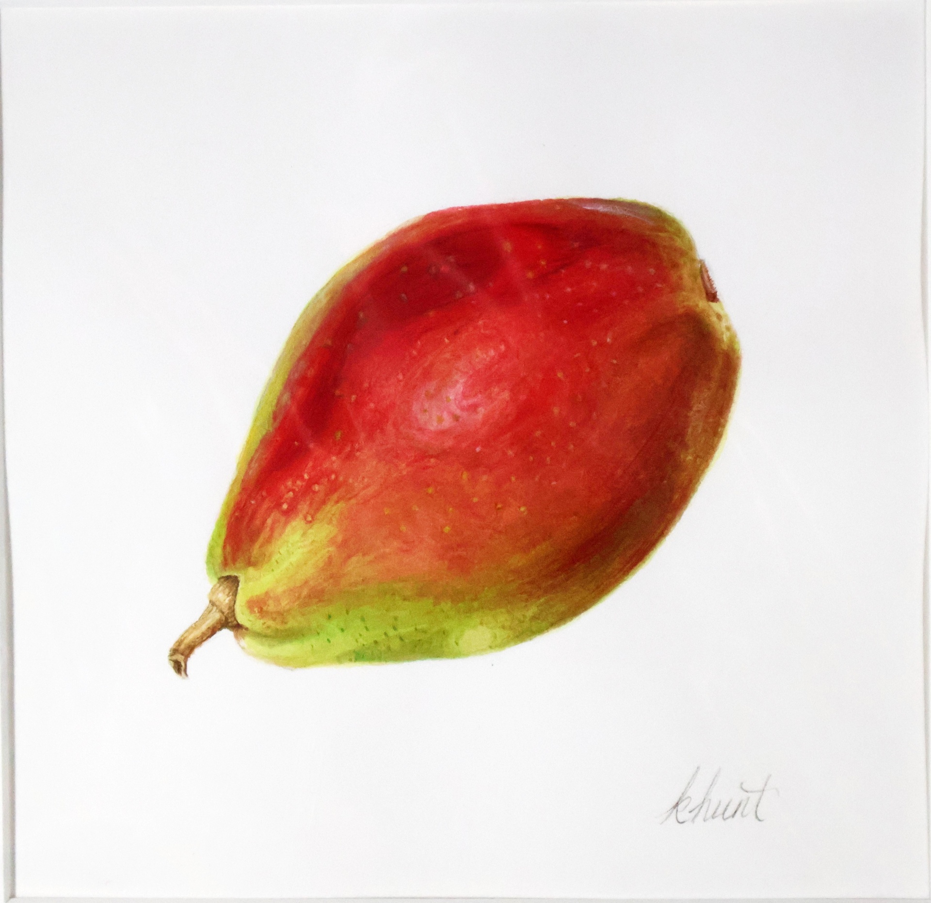 D'Anjou Pear