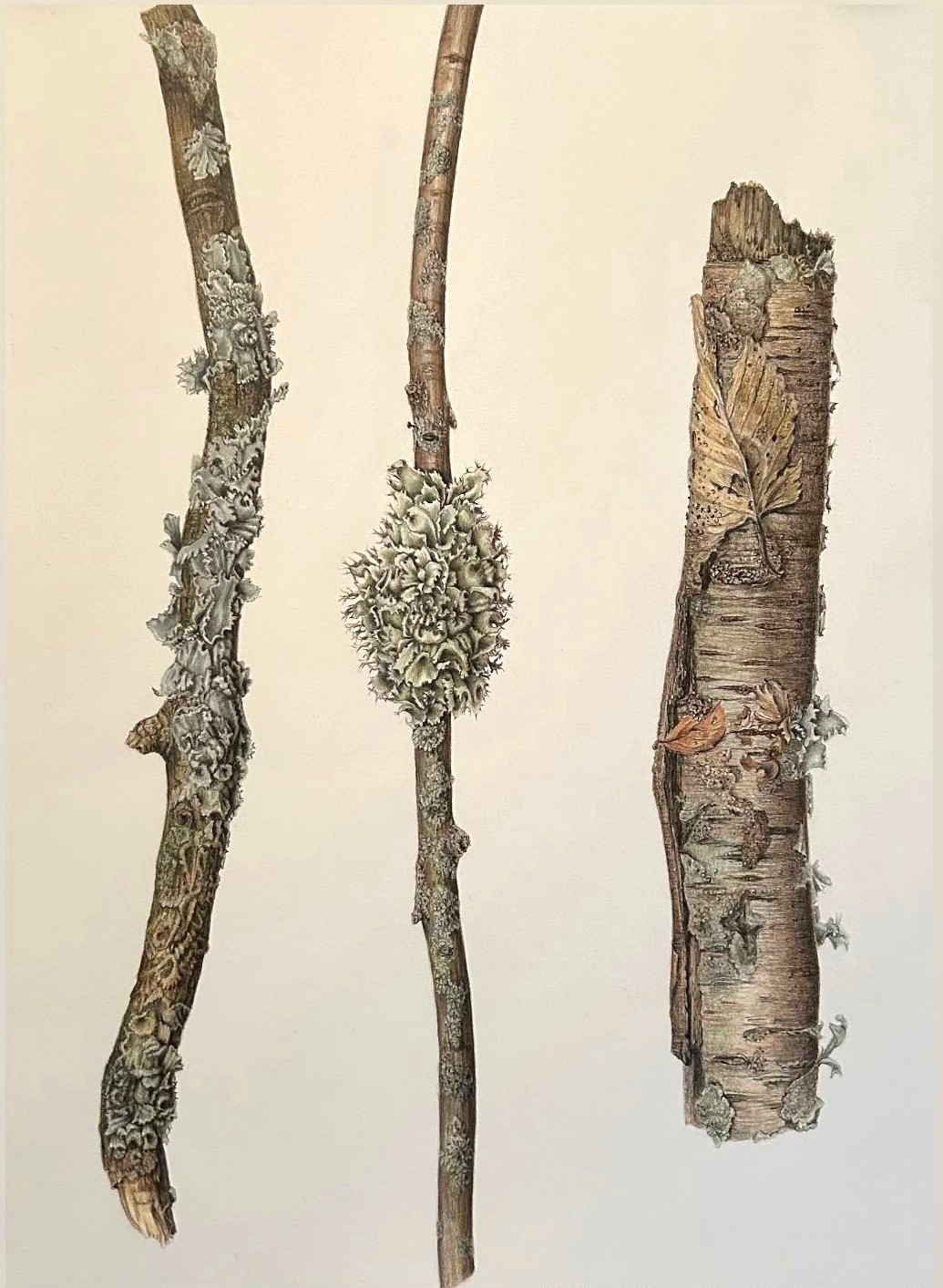 Sticks